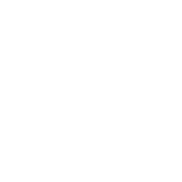 ce logo Orlando