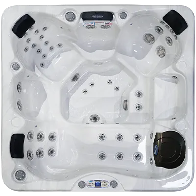 Avalon EC-849L hot tubs for sale in Orlando
