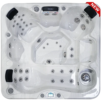 Avalon-X EC-849LX hot tubs for sale in Orlando