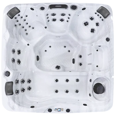 Avalon EC-867L hot tubs for sale in Orlando